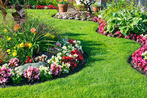 Flower garden bed with healthy green grass.